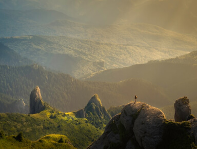 services-01 Services 01